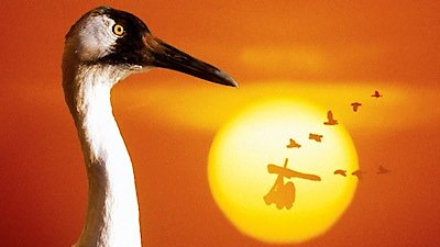 Nature Season 22 Episode 12