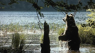 Nature Season 22 Episode 13