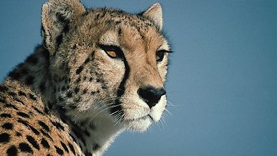 Nature Season 23 Episode 1