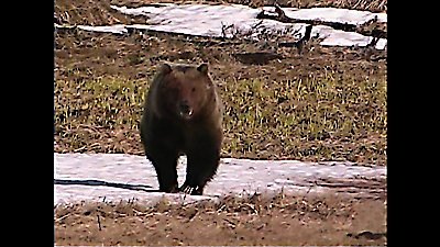 Nature Season 23 Episode 3