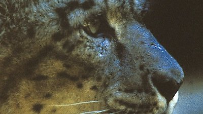 Nature Season 23 Episode 5