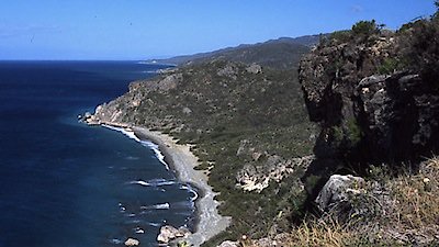 Nature Season 23 Episode 6