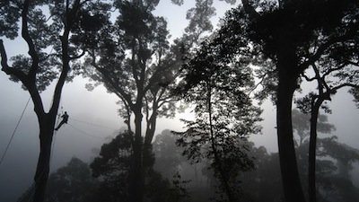 Nature Season 23 Episode 10