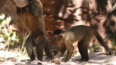 Nature Season 23 Episode 12