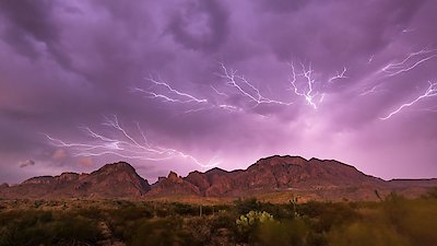 Nature Season 39 Episode 10