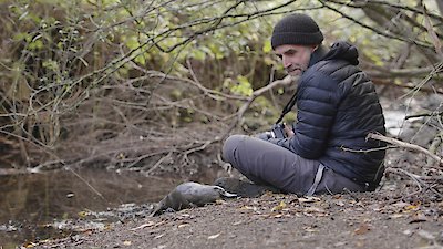 Nature Season 42 Episode 1