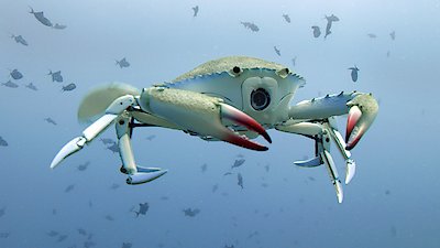 Nature Season 42 Episode 2