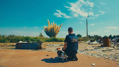 Nature Season 42 Episode 15