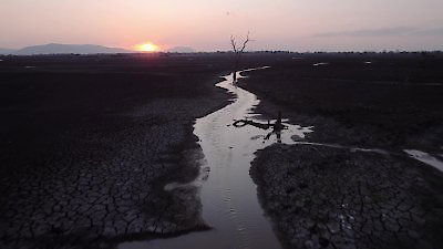 Nature Season 43 Episode 11