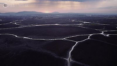 Nature Season 43 Episode 12