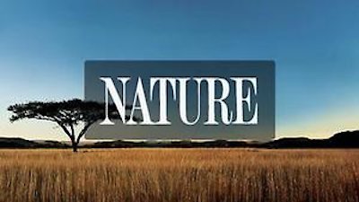 Nature Season 17 Episode 2