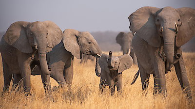 Nature Season 44 Episode 10