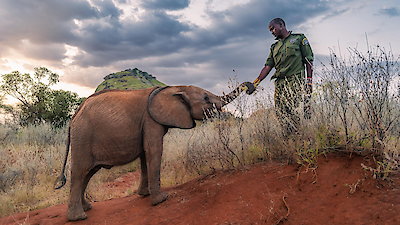 Nature Season 44 Episode 12