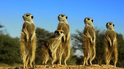 Nature Season 35 Episode 10