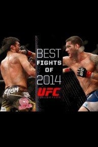 Best Fights of 2014