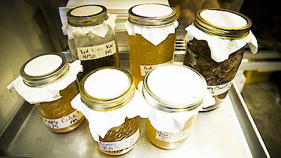 Bizarre Foods with Andrew Zimmern Season 8 Episode 9