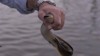 Bizarre Foods with Andrew Zimmern Season 18 Episode 6