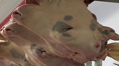 Bizarre Foods with Andrew Zimmern Season 3 Episode 5