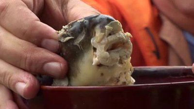 Bizarre Foods with Andrew Zimmern Season 3 Episode 7