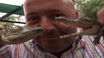 Bizarre Foods with Andrew Zimmern Season 4 Episode 3
