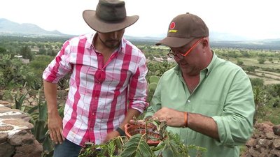 Bizarre Foods with Andrew Zimmern Season 5 Episode 1