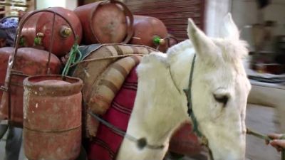 Bizarre Foods with Andrew Zimmern Season 13 Episode 3