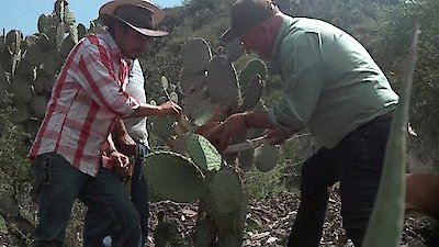 Bizarre Foods with Andrew Zimmern Season 13 Episode 8