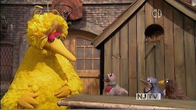 Sesame Street Season 42 Episode 9