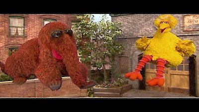 Sesame Street Season 41 Episode 3