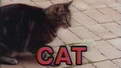 Sesame Street Season 3 Episode 62