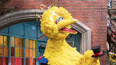 Sesame Street Season 51 Episode 3