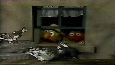 Sesame Street Season 20 Episode 9