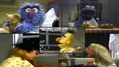 Sesame Street Season 21 Episode 7