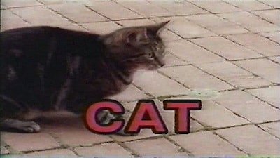 Sesame Street Season 26 Episode 109