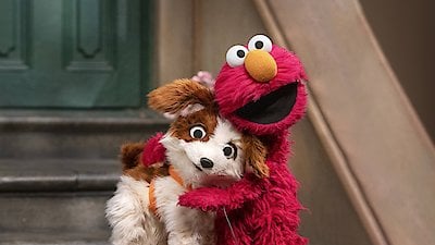 Sesame Street Season 52 Episode 6