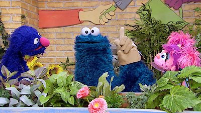 Sesame Street Season 55 Episode 31