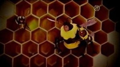 Sesame Street Season 40 Episode 3