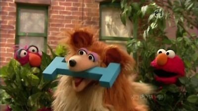 Sesame Street Season 41 Episode 15