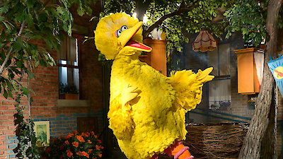 Sesame Street Season 46 Episode 15