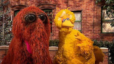 Sesame Street Season 49 Episode 17