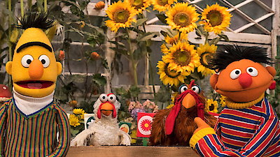 Sesame Street Season 49 Episode 30