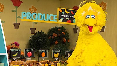 Sesame Street Season 49 Episode 31