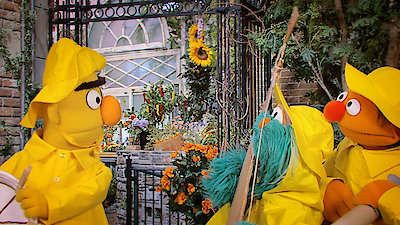 Sesame Street Season 50 Episode 18