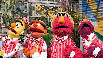Sesame Street Season 54 Episode 11