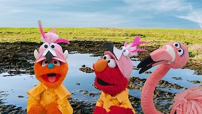 Sesame Street Season 54 Episode 12