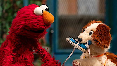 Sesame Street Season 55 Episode 12