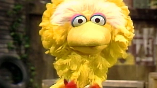 Watch Sesame Street Online - Full Episodes - All Seasons - Yidio