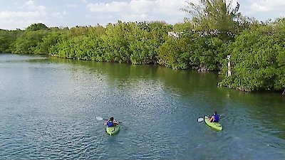 Island Life Season 1 Episode 6
