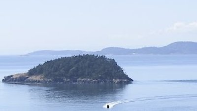 Island Life Season 3 Episode 11