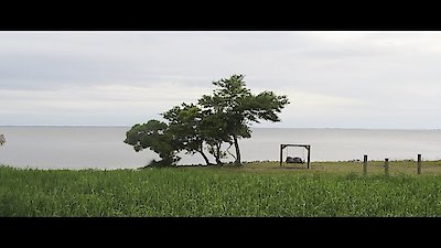 Island Life Season 5 Episode 11